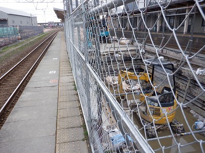 �����w�摜