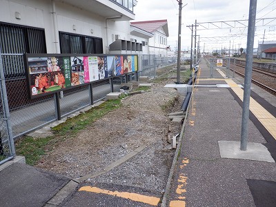 �����w�摜