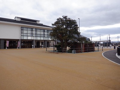 �����w�摜