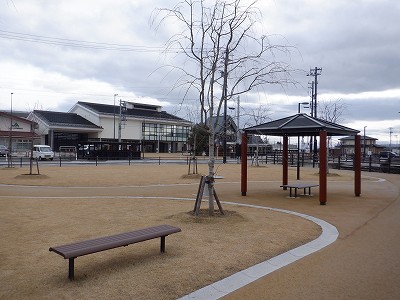 �����w�摜