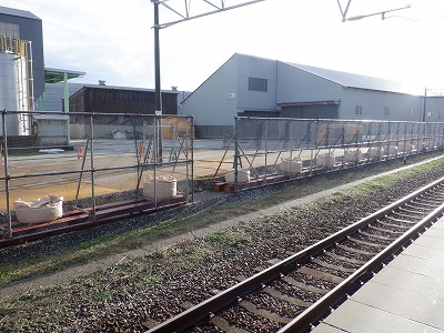 �����w�摜