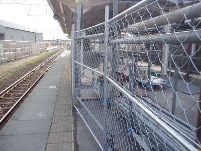 �����w�摜