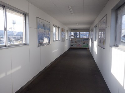 �����w�摜