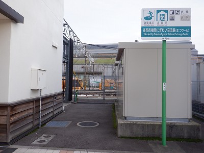 �����w�摜