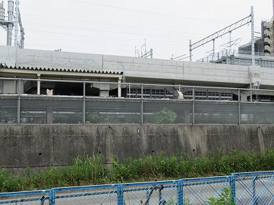 牛島公園