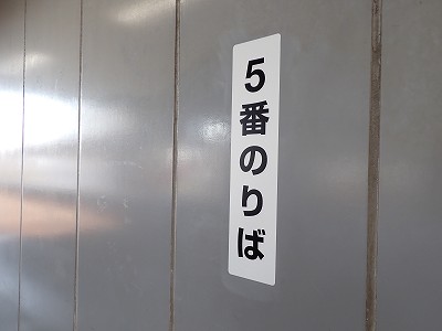 �����w�摜