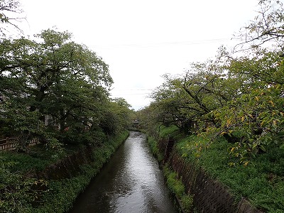 �����w�摜