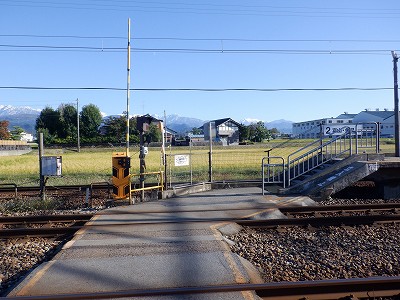w摜