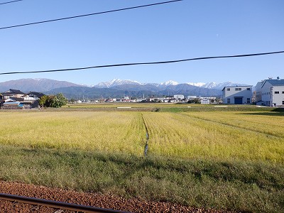 w摜