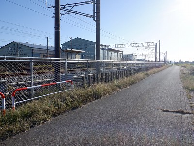 w摜
