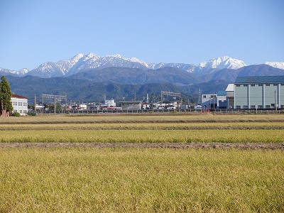 w摜