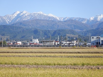 w摜