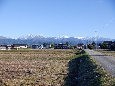 w摜