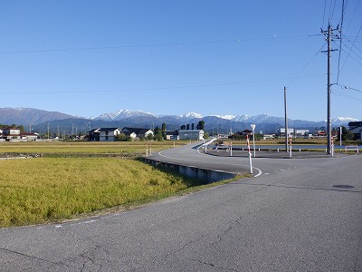 w摜