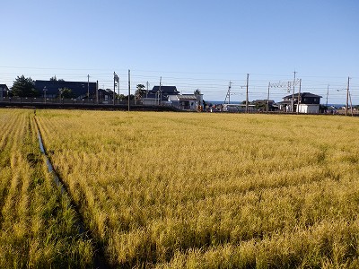 w摜