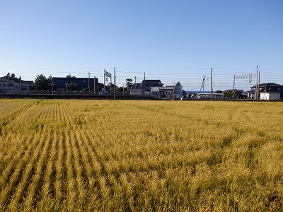 w摜