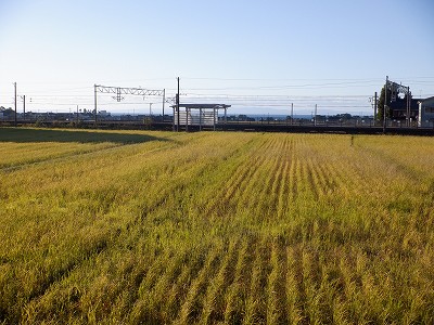 w摜