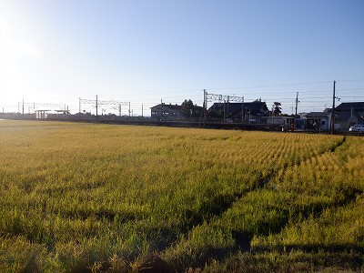 w摜