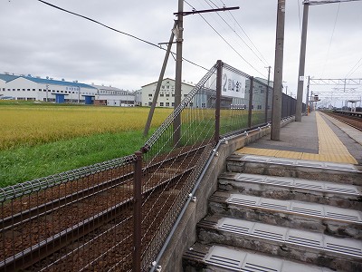 w摜