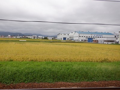 w摜