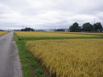 w摜