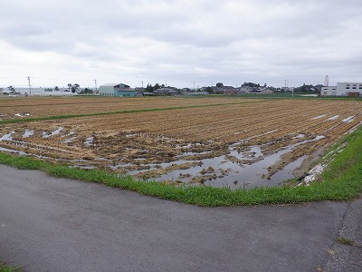 w摜