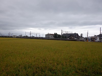 w摜