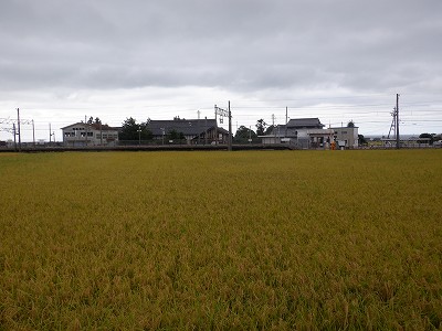 w摜