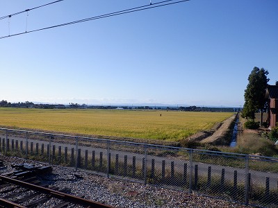 w摜