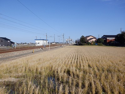 Pw摜