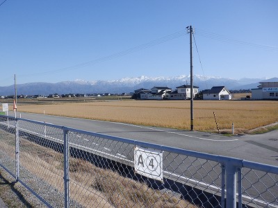 Pw摜