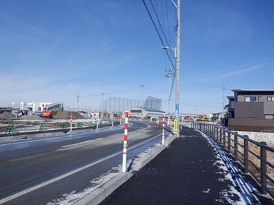 �V�x�R���w�摜