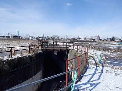 �V�x�R���w�摜