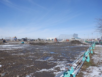 �V�x�R���w�摜