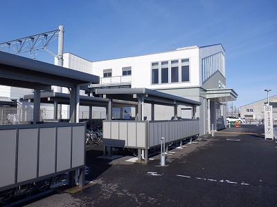 �V�x�R���w�摜