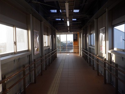 �V�x�R���w�摜