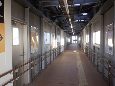 �V�x�R���w�摜