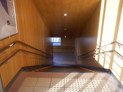 �V�x�R���w�摜