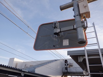 �V�x�R���w�摜