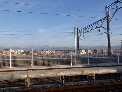 �V�x�R���w�摜