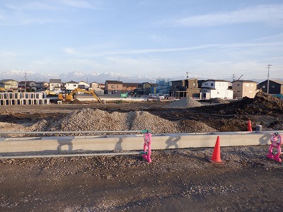 �V�x�R���w�摜