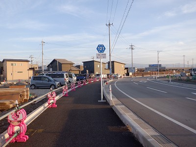 �V�x�R���w�摜