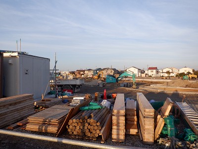 �V�x�R���w�摜