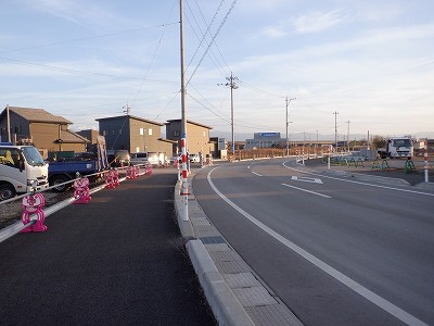 �V�x�R���w�摜