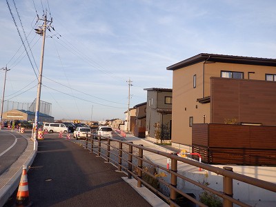 �V�x�R���w�摜