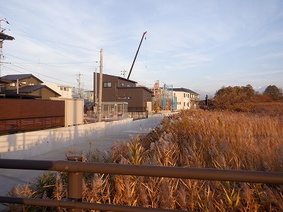 �V�x�R���w�摜