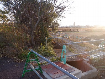 �V�x�R���w�摜