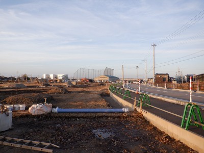 �V�x�R���w�摜