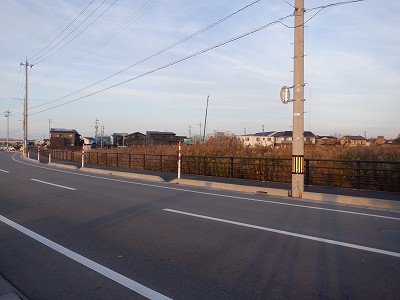 �V�x�R���w�摜