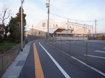 �V�x�R���w�摜